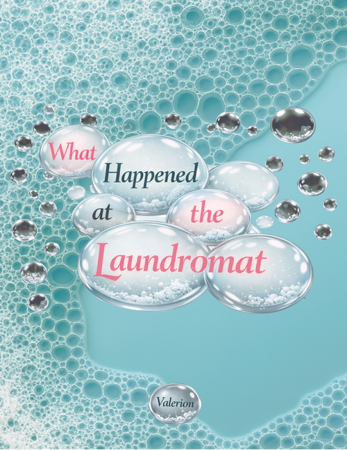What Happened at the Laundromat